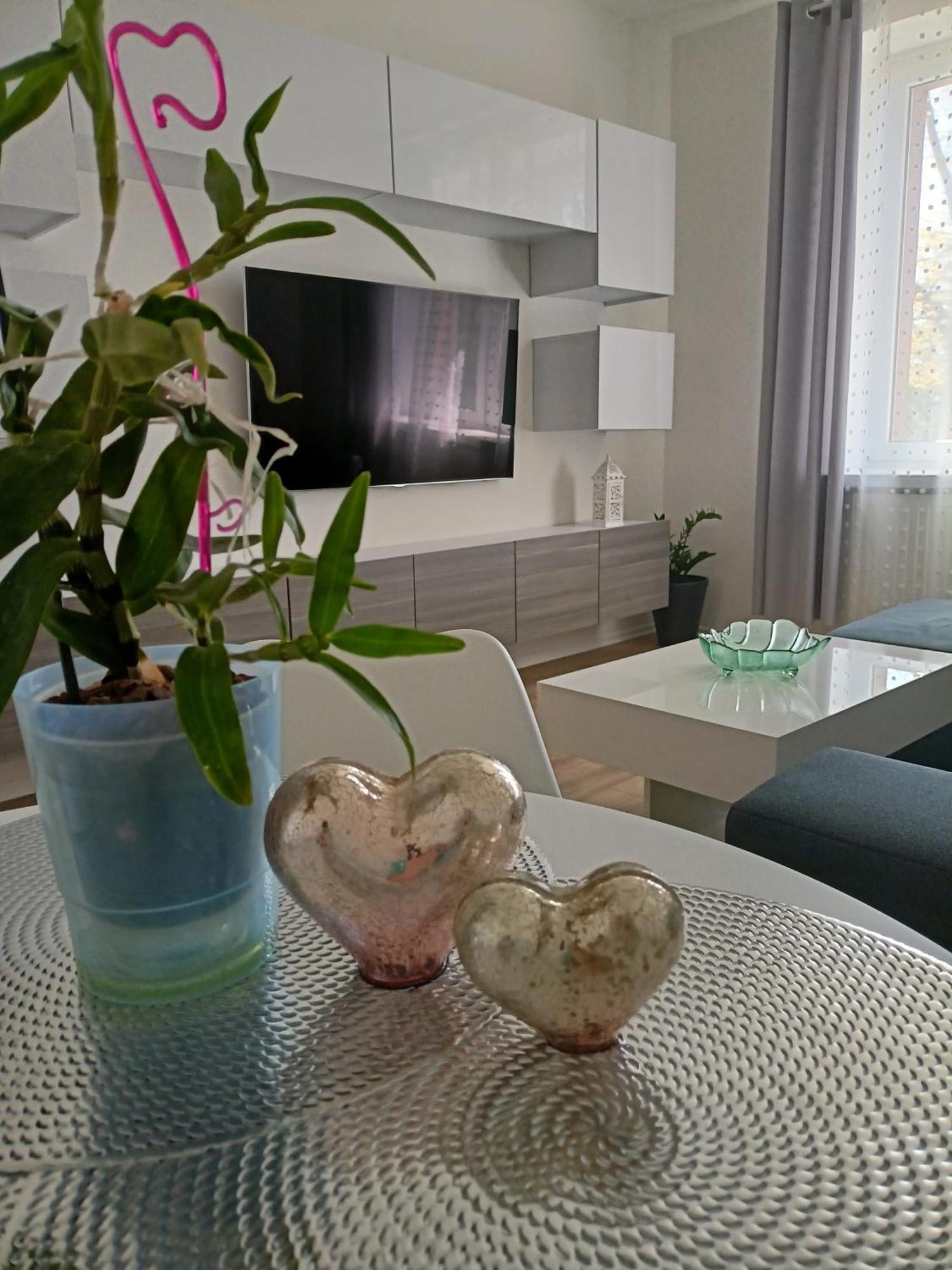 Apartament Slowackiego 41 Jelenia Góra Zewnętrze zdjęcie